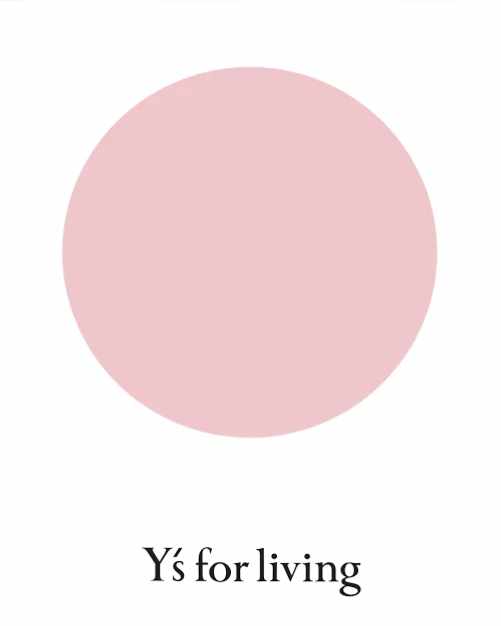 Y's For Living Japan